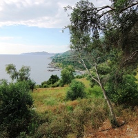 Земельный участок в Греции, Ионические острова, 4170 кв.м.