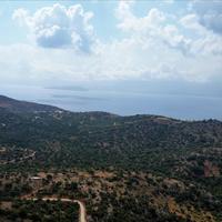 Земельный участок в Греции, Крит