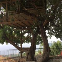 Villa in Greece, Peloponnese, 170 sq.m.