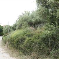 Land plot in Greece, Central Macedonia, Center