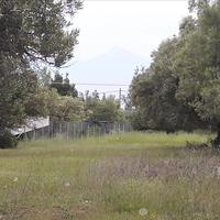 Land plot in Greece, Central Macedonia, Center