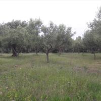 Land plot in Greece, Central Macedonia, Center