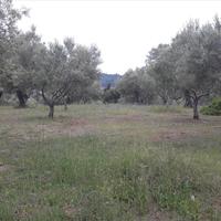 Land plot in Greece, Central Macedonia, Center