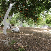 Other in Greece, Ionian Islands, 200 sq.m.