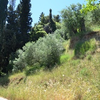 Land plot in Greece, Ionian Islands, 3005 sq.m.