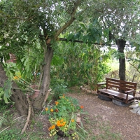 Отель (гостиница) в Греции, Ионические острова, 469 кв.м.