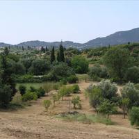 Land plot in Greece, Ionian Islands, 4000 sq.m.