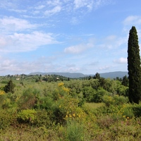 Land plot in Greece, Ionian Islands, 1252 sq.m.