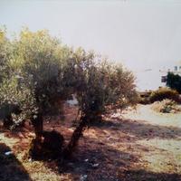 Земельный участок в Греции