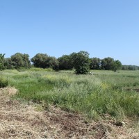 Land plot in Greece, Central Macedonia, Center