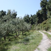 Land plot in Greece, Central Macedonia, Center