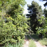 Land plot in Greece, Central Macedonia, Center