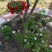 Townhouse in Greece, Central Macedonia, Center, 180 sq.m.