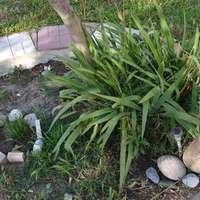 Townhouse in Greece, Central Macedonia, Center, 180 sq.m.