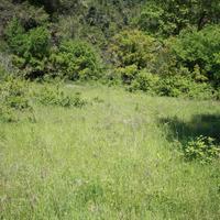 Земельный участок в Греции, Центральная Македония, Центр