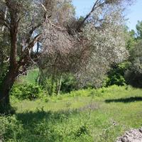 Земельный участок в Греции, Центральная Македония, Центр