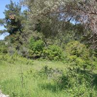 Земельный участок в Греции, Центральная Македония, Центр