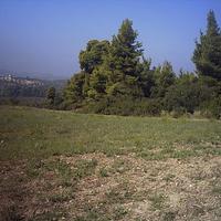 Land plot in Greece, Central Macedonia, Center
