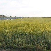 Land plot in Greece, Central Macedonia, Center