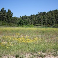Land plot in Greece, Central Macedonia, Center