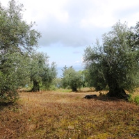 Land plot in Greece, Ionian Islands, 3300 sq.m.