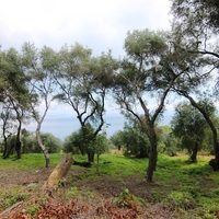 Земельный участок в Греции, Ионические острова, 3300 кв.м.