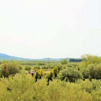 Other in Greece, Central Macedonia, Center, 168 sq.m.