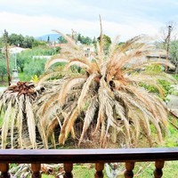 Other in Greece, Central Macedonia, Khal, 300 sq.m.