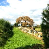 Villa in Greece, Peloponnese, 140 sq.m.