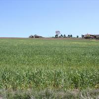 Land plot in Greece, Central Macedonia, Center
