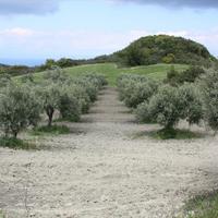 Land plot in Greece, Central Macedonia, Center