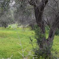 Земельный участок в Греции, Крит, Ханья