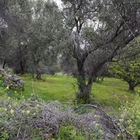 Земельный участок в Греции, Крит, Ханья