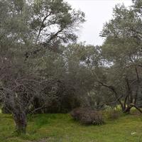 Земельный участок в Греции, Крит, Ханья