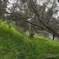 Земельный участок в Греции, Крит, Ханья