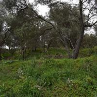 Земельный участок в Греции, Крит, Ханья