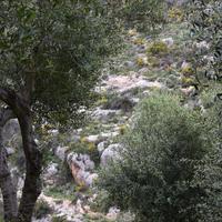 Земельный участок в Греции, Крит