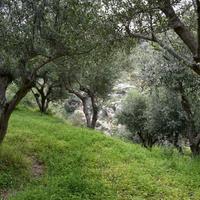 Земельный участок в Греции, Крит