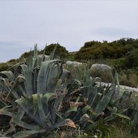 Земельный участок в Греции, Крит