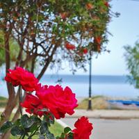 Flat in Greece, Peloponnese, 63 sq.m.