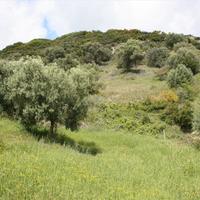 Земельный участок в Греции, Центральная Македония, Центр