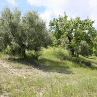 Земельный участок в Греции, Центральная Македония, Центр