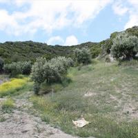 Земельный участок в Греции, Центральная Македония, Центр