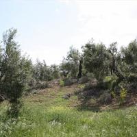 Земельный участок в Греции, Центральная Македония, Центр