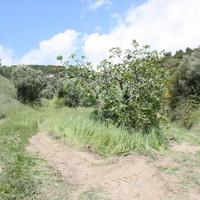 Земельный участок в Греции, Центральная Македония, Центр