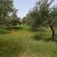 Земельный участок в Греции, Крит