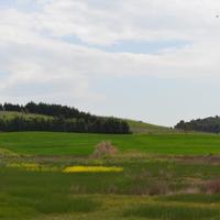 Земельный участок в Греции, Центральная Македония, Центр