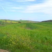 Земельный участок в Греции, Центральная Македония, Центр