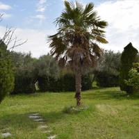 Other in Greece, Central Macedonia, Center, 190 sq.m.