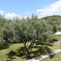 Другое в Греции, Центральная Македония, Центр, 160 кв.м.